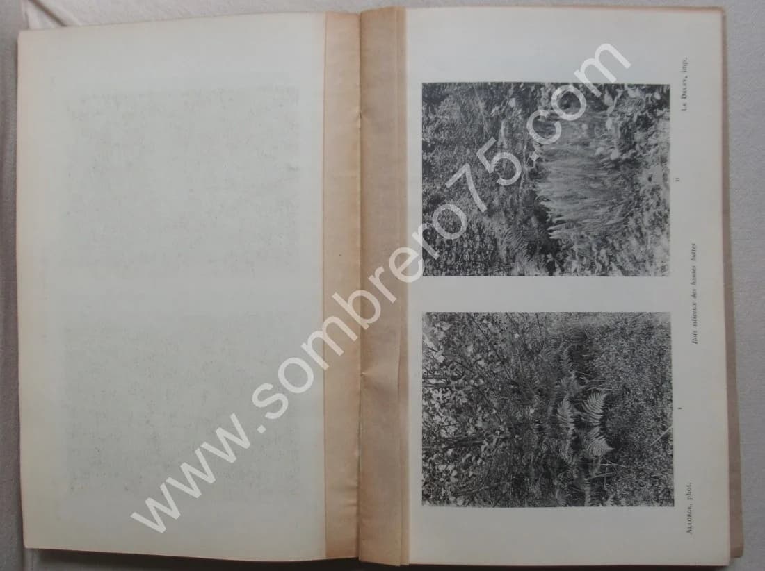 Les Associations Végétales du Vexin Français - Image 8