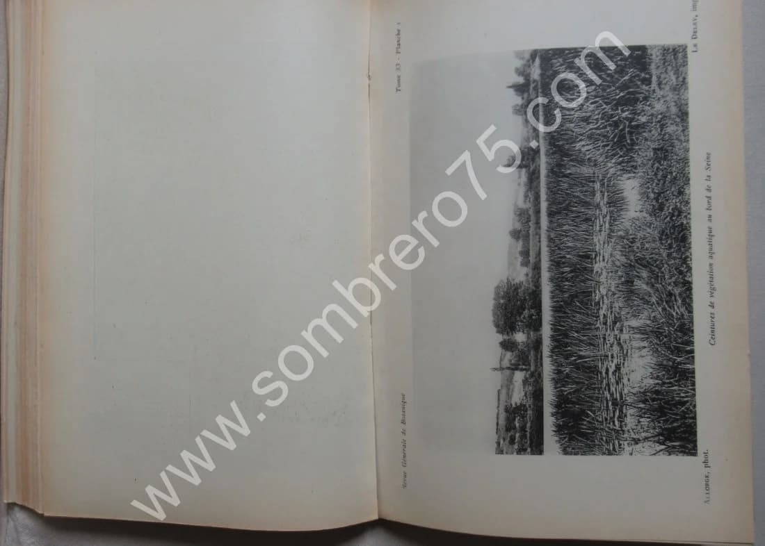 Les Associations Végétales du Vexin Français - Image 9