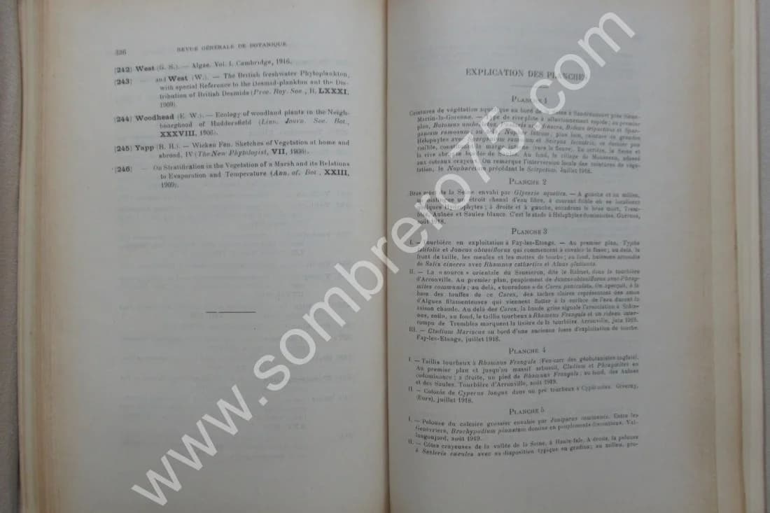 Les Associations Végétales du Vexin Français - Image 10