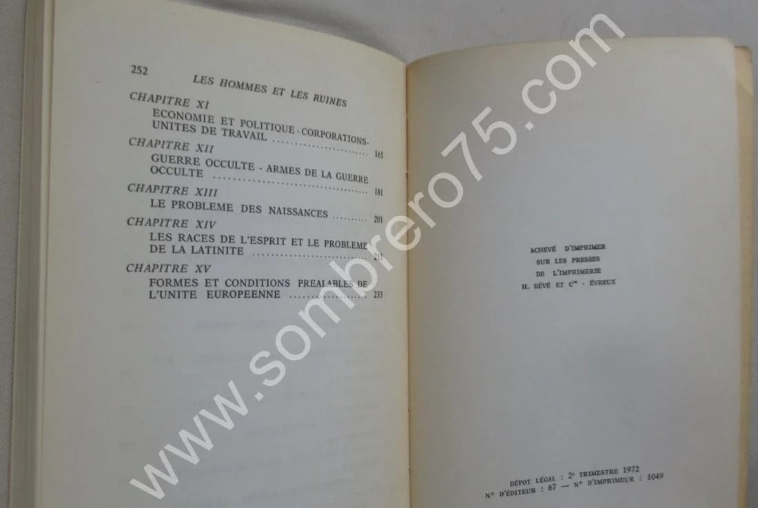 Les Hommes au milieu des Ruines - Image 5