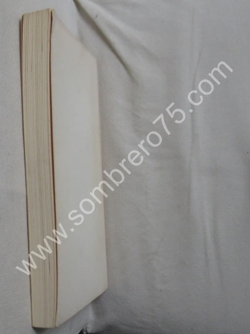 Les Hommes au milieu des Ruines - Image 6