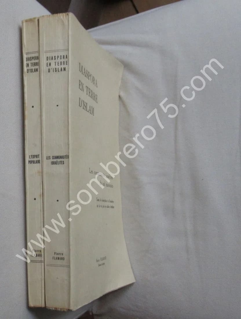 Diaspora en Terre d'Islam - 2 Tomes - Image 2