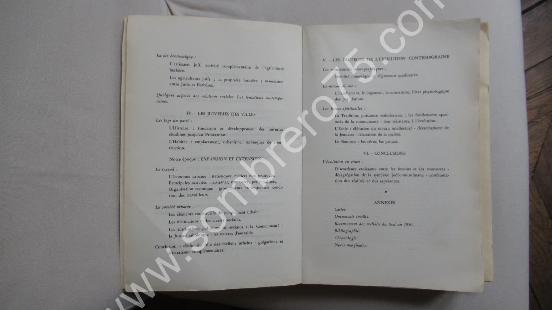 Diaspora en Terre d'Islam - 2 Tomes - Image 12