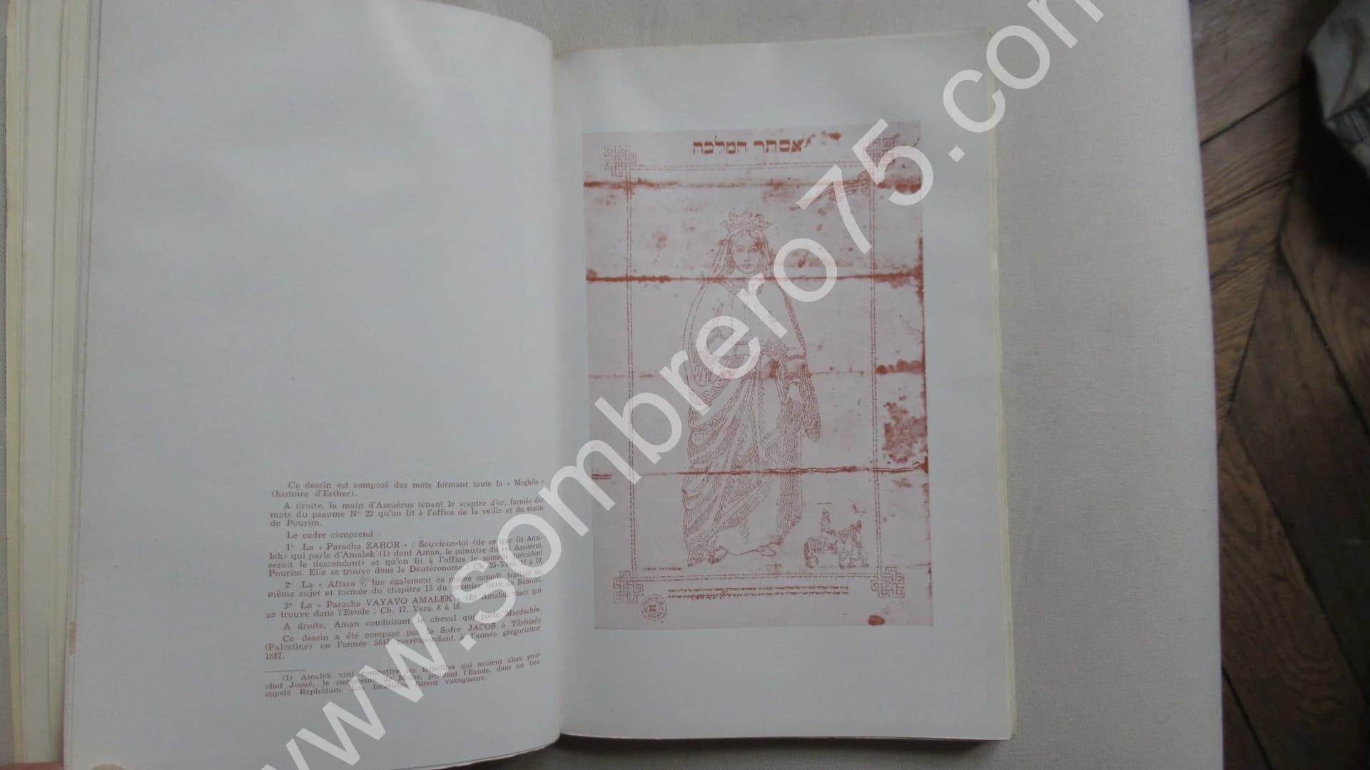 Diaspora en Terre d'Islam - 2 Tomes - Image 16