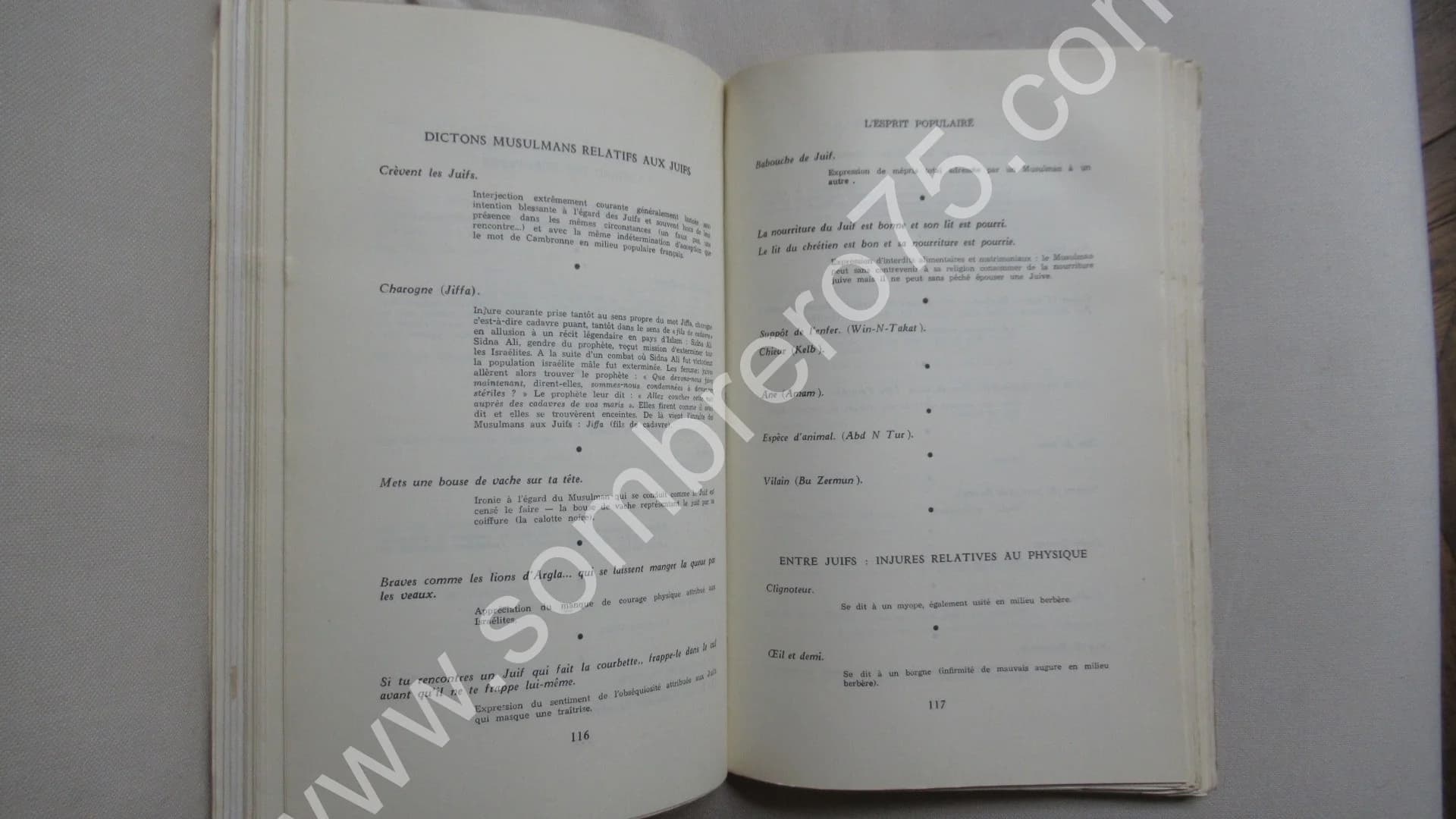 Diaspora en Terre d'Islam - 2 Tomes - Image 18