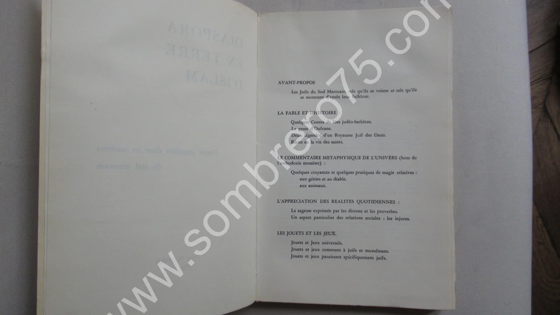 Diaspora en Terre d'Islam - 2 Tomes - Image 20