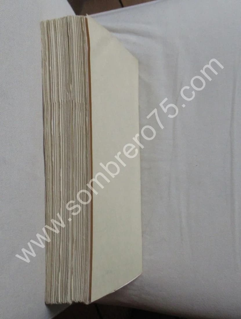 Diaspora en Terre d'Islam - 2 Tomes - Image 23