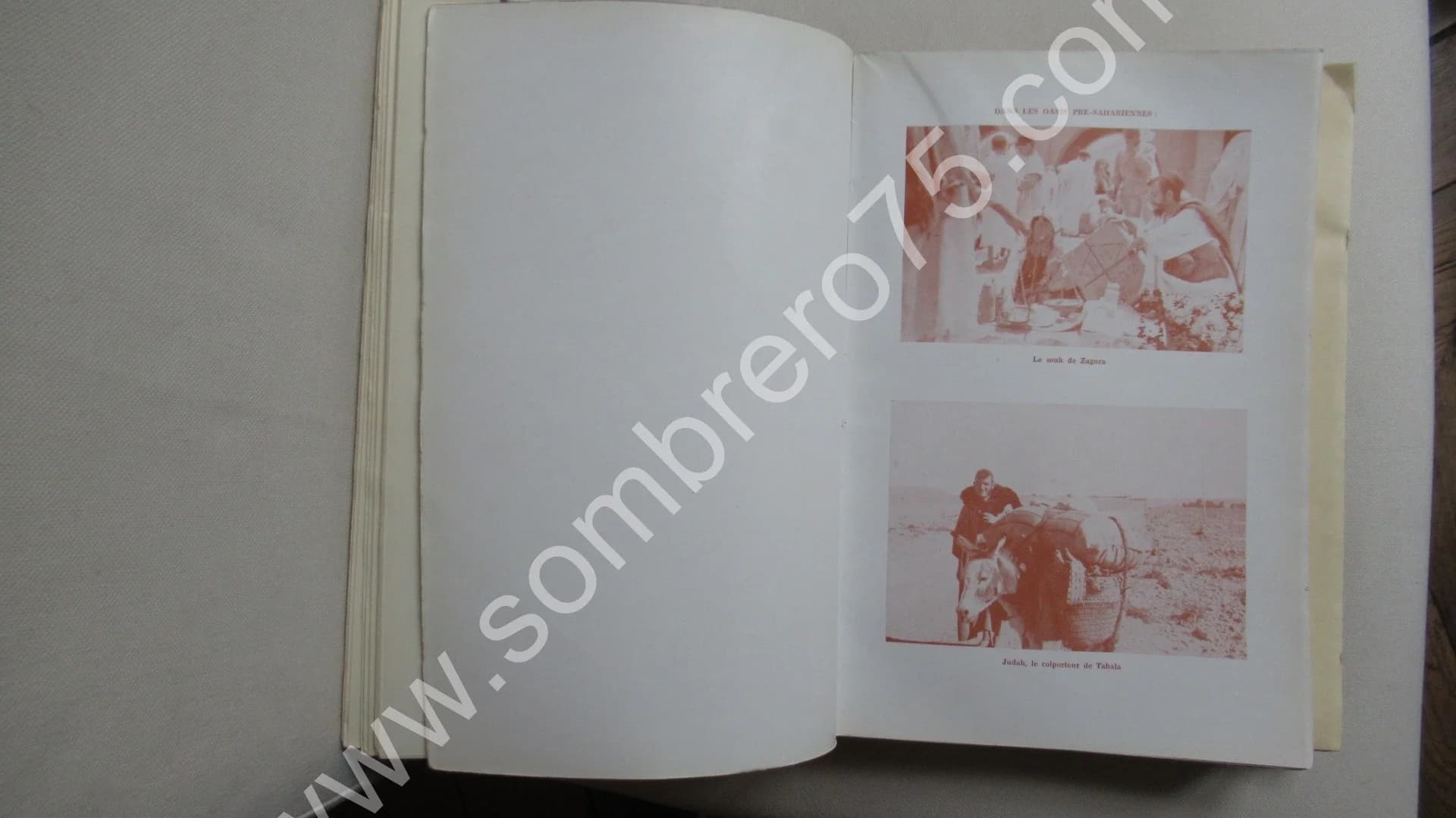 Diaspora en Terre d'Islam - 2 Tomes - Image 6