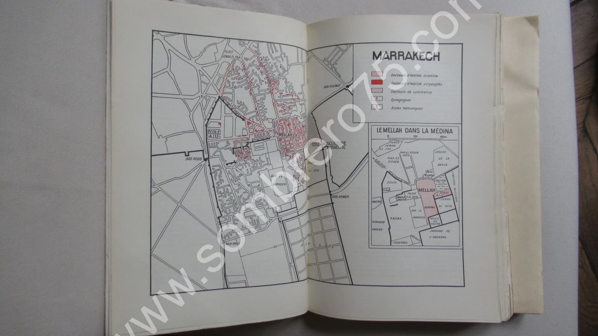 Diaspora en Terre d'Islam - 2 Tomes - Image 8