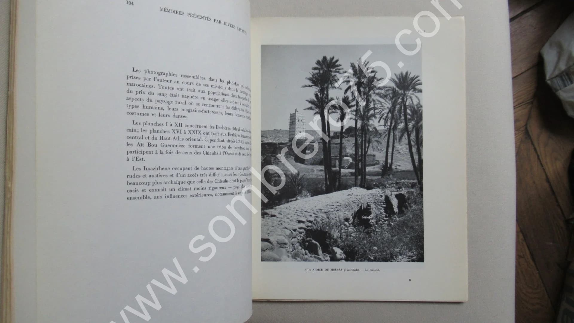 Le Prix du Sang chez les Berbères de l'Atlas. Tome XV. 2e Partie. JACQUES MEUNIE - Image 7