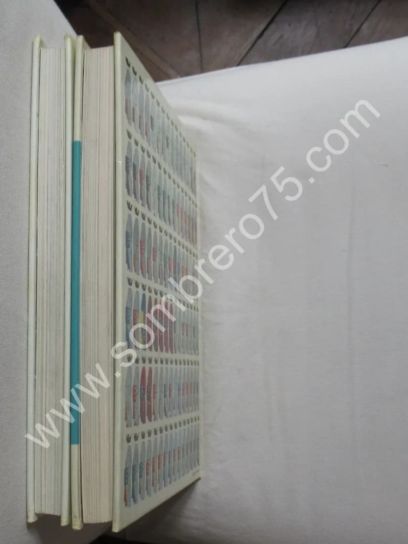 L'Uniforme et les Armes des Soldats de la Guerre en Dentelle - 2 Tomes - Image 8