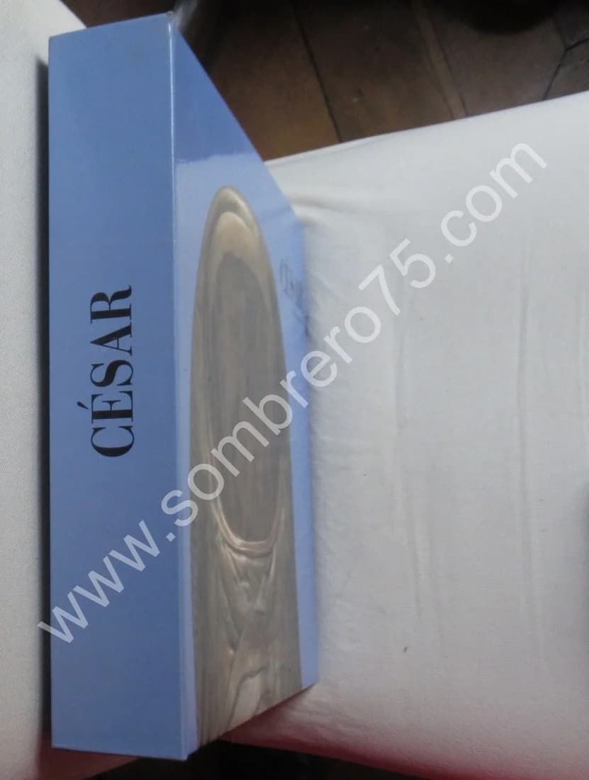 CESAR -. Iconographie - Image 2