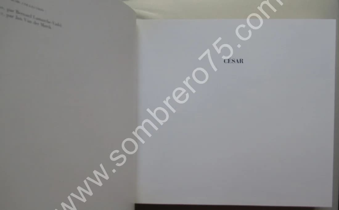 CESAR -. Iconographie - Image 3