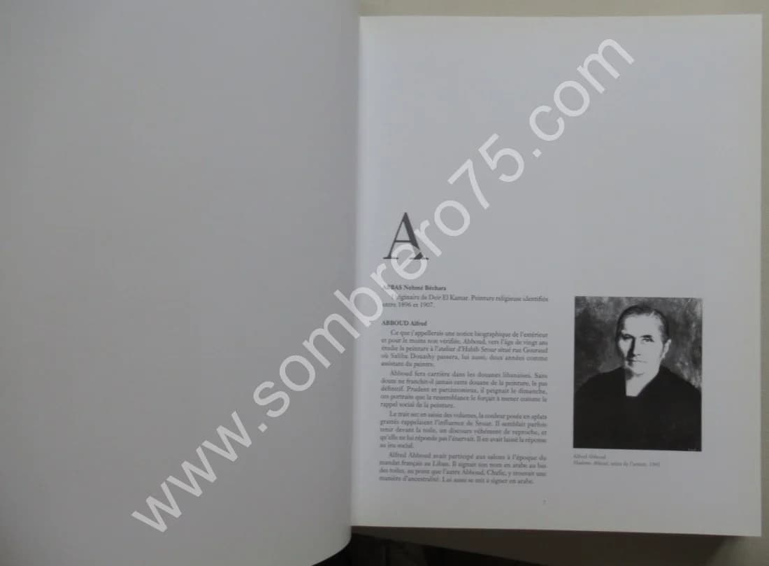 Dictionnaire de la Peinture Libanaise - Image 4