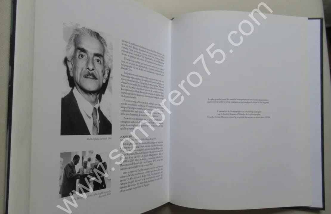 Dictionnaire de la Peinture Libanaise - Image 5