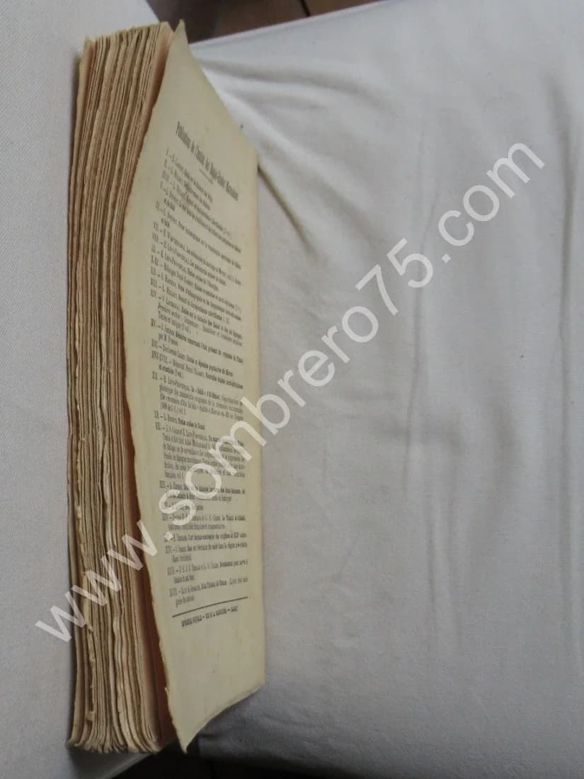 Les Aït Atta du Sahara et la Pacification du Haut Dra. Envoi. Capitaine SPILLMANN - Image 11