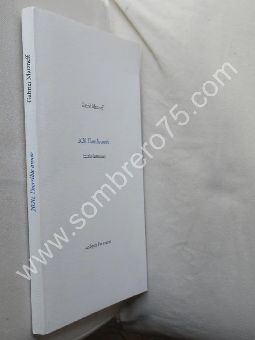 2020, L'horrible année (courrier électronique). Ex. Num - Image 2