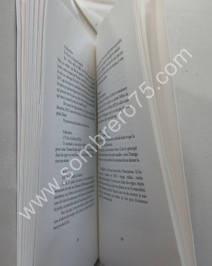 2020, L'horrible année (courrier électronique). Ex. Num - Image 4