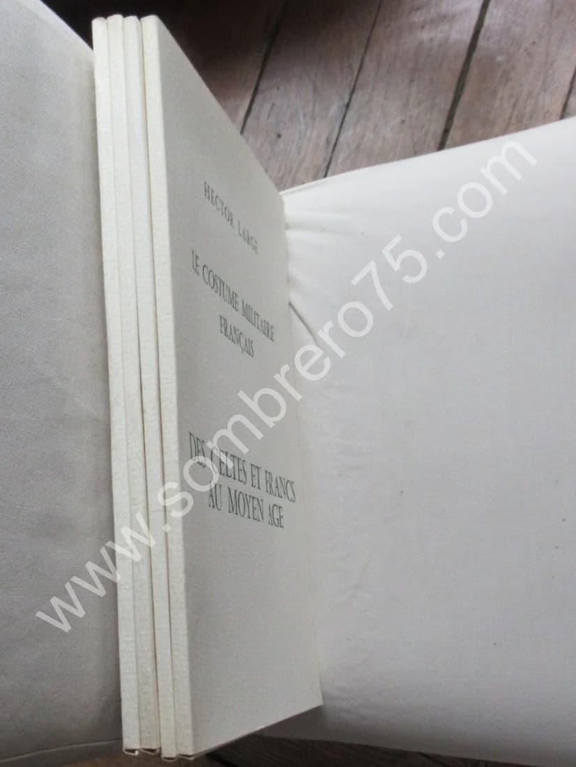 Le Costume Militaire Français des Celtes à la Révolution - Image 2