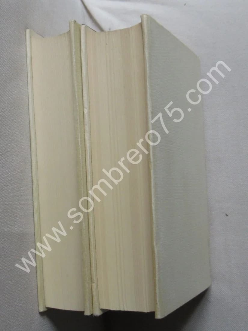 - Oeuvre Autobiographique - 2 Volumes - Image 3