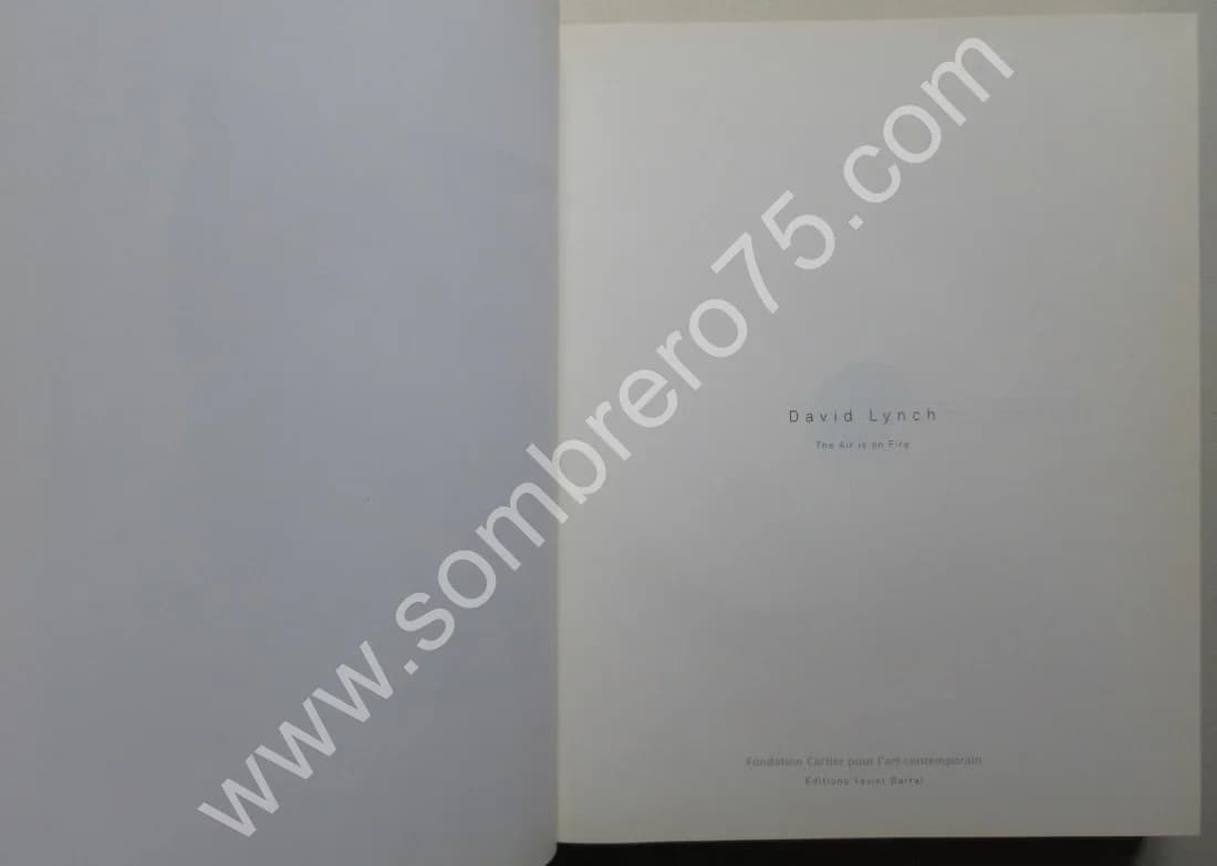 David LYNCH - The Air is on Fire.. 2007. 2CD - Image 3