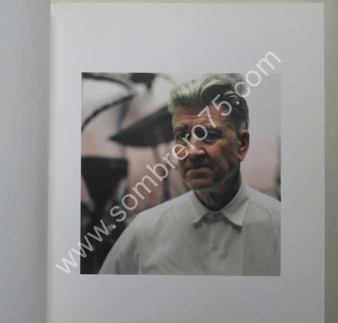 David LYNCH - The Air is on Fire.. 2007. 2CD - Image 4