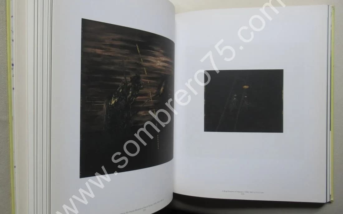 David LYNCH - The Air is on Fire.. 2007. 2CD - Image 6