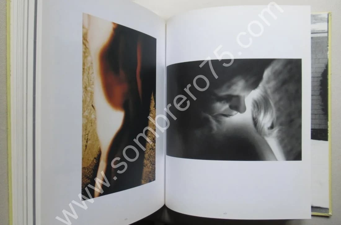 David LYNCH - The Air is on Fire.. 2007. 2CD - Image 7