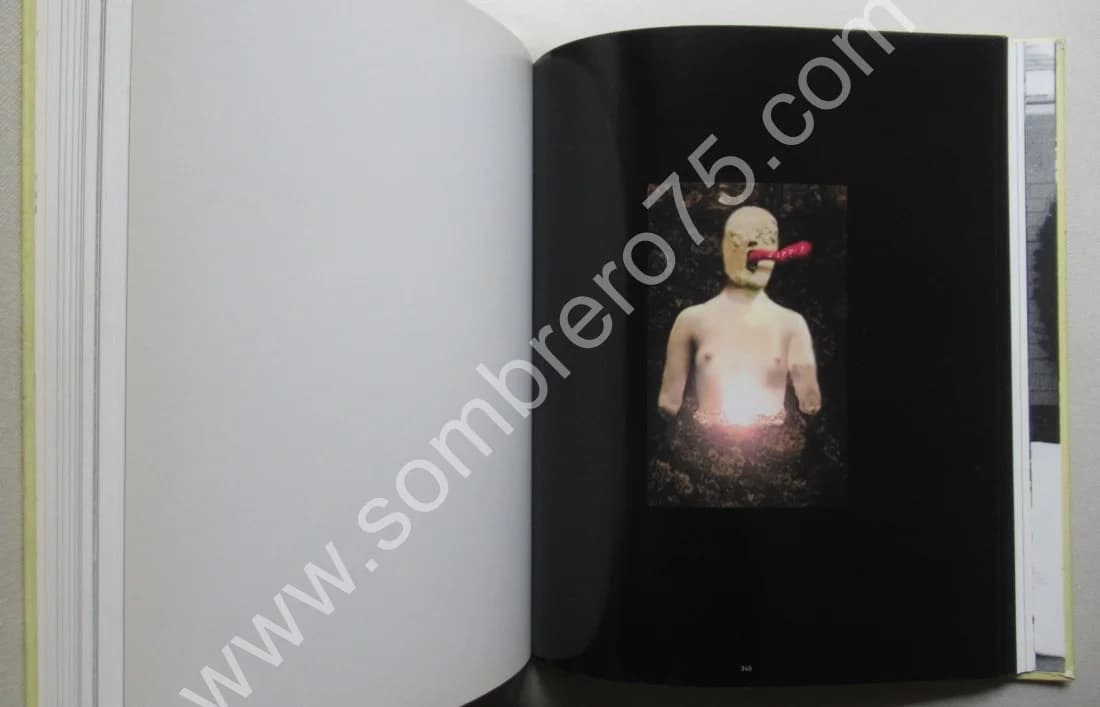 David LYNCH - The Air is on Fire.. 2007. 2CD - Image 8