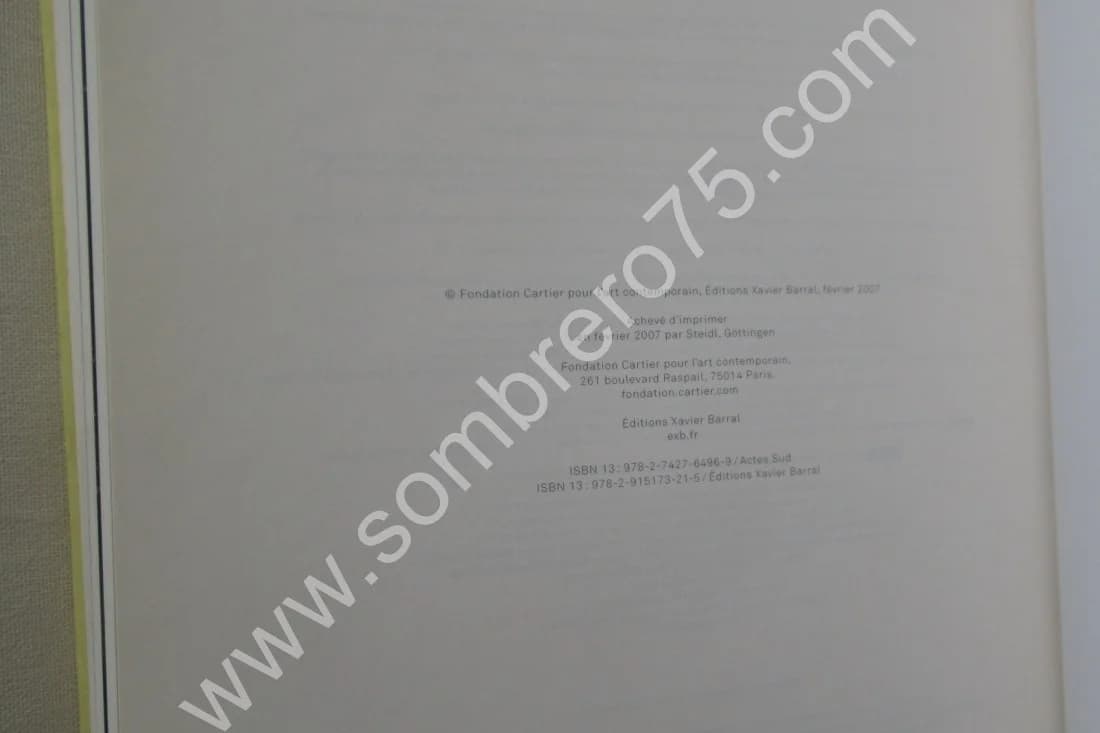 David LYNCH - The Air is on Fire.. 2007. 2CD - Image 10