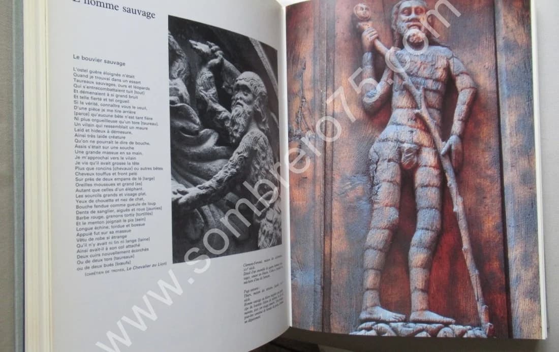 Art Profane et Religion Populaire au Moyen Âge. Cl. GAIGNEBET et J D LAJOUX - Image 3