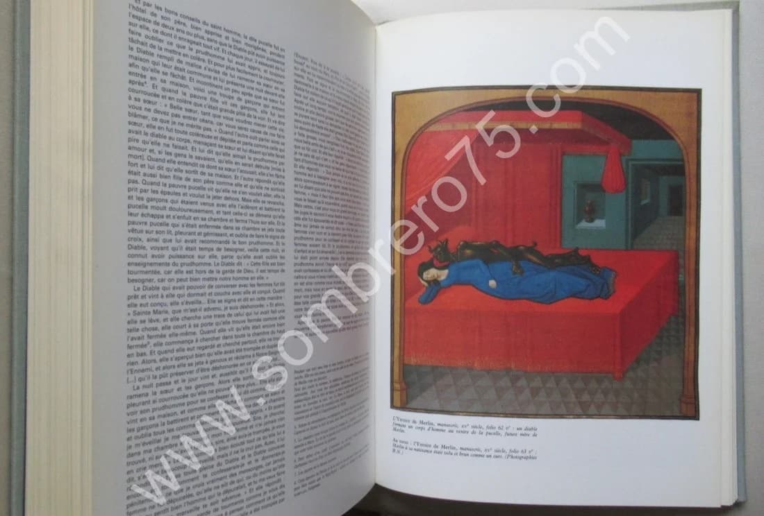 Art Profane et Religion Populaire au Moyen Âge. Cl. GAIGNEBET et J D LAJOUX - Image 6