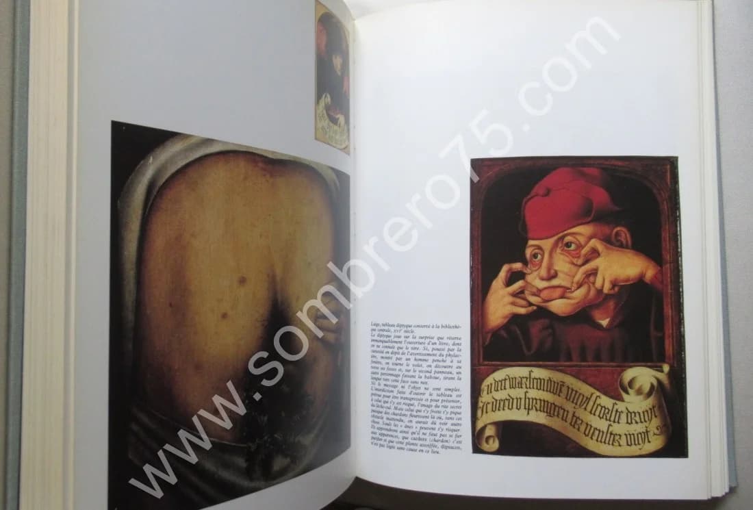 Art Profane et Religion Populaire au Moyen Âge. Cl. GAIGNEBET et J D LAJOUX - Image 7