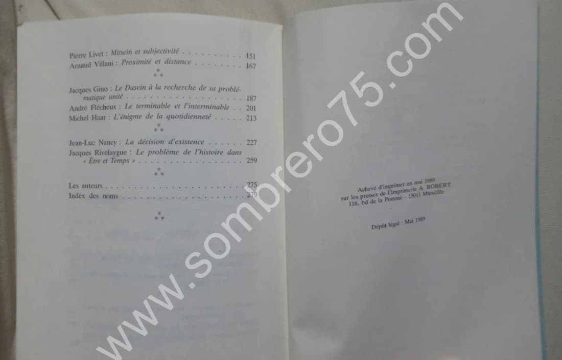 Être et Temps - Questions de méthode et voies de recherche - Image 5