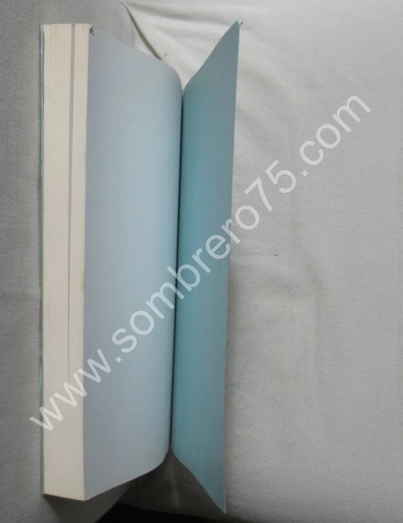 Être et Temps - Questions de méthode et voies de recherche - Image 6