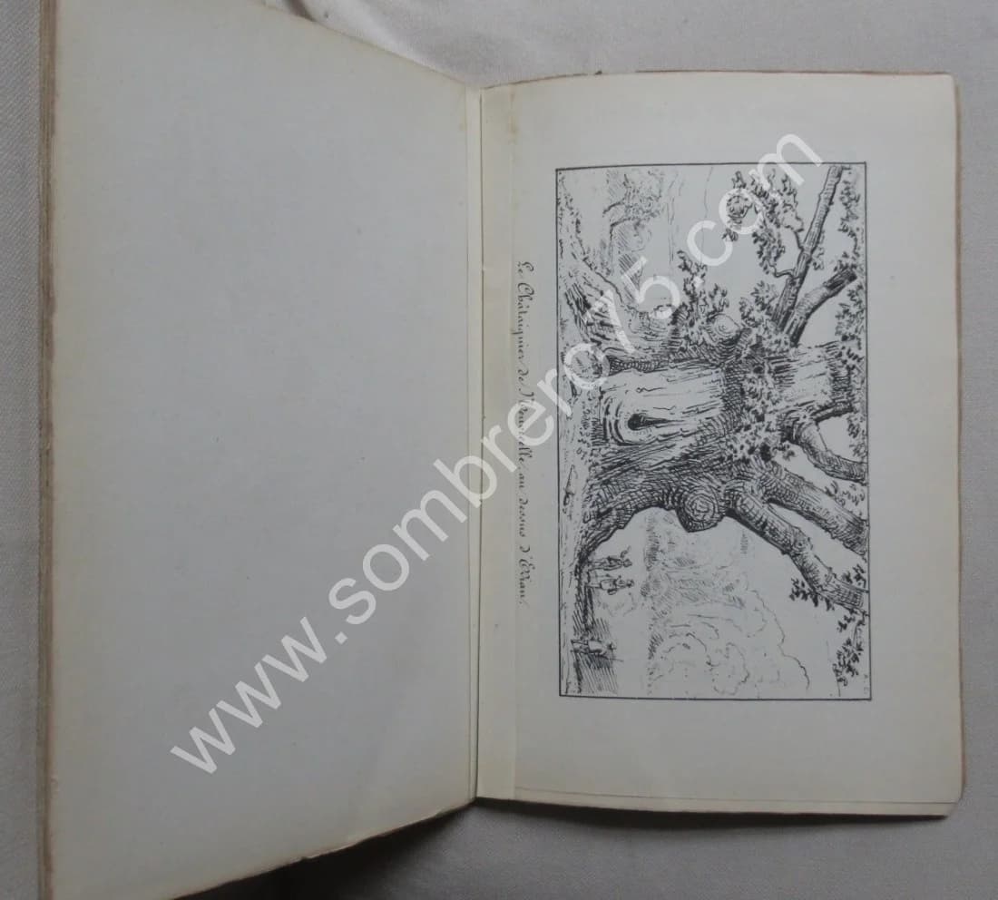 Ascension des Dents-d'Oche et du Midi par. 1863 - Image 6