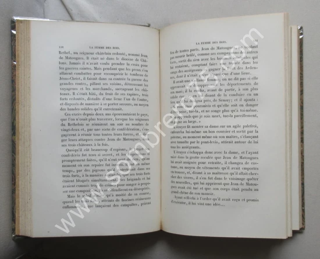 Légendes des Esprits et des Démons. J. COLLIN DE PLANCY. 1863 - Image 6
