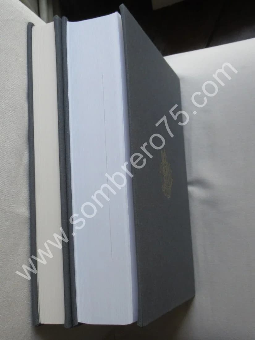 Giovanni BOLDINI Catalogo Generale - 2 Tomes sous étuis - Image 14