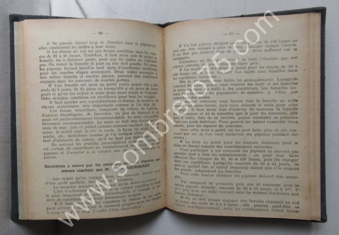Guide Pratique du Spécialiste Colombophile. 1914 - Image 5
