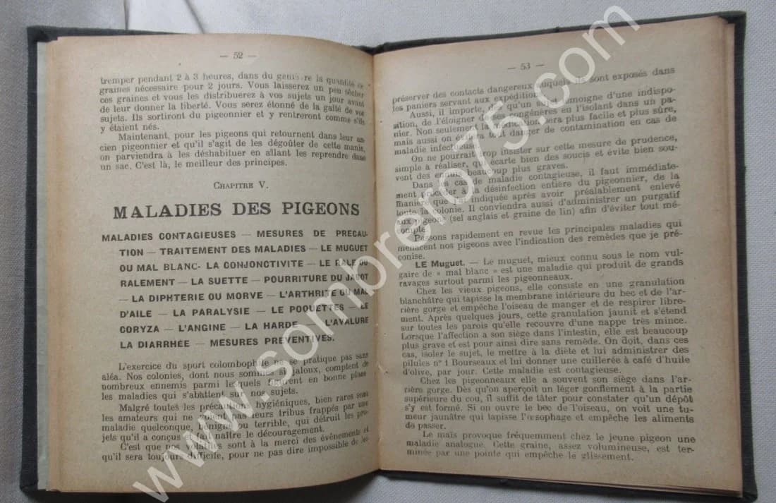 Guide Pratique du Spécialiste Colombophile. 1914 - Image 9