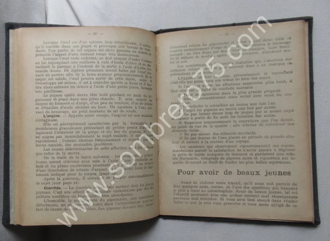Guide Pratique du Spécialiste Colombophile. 1914 - Image 10