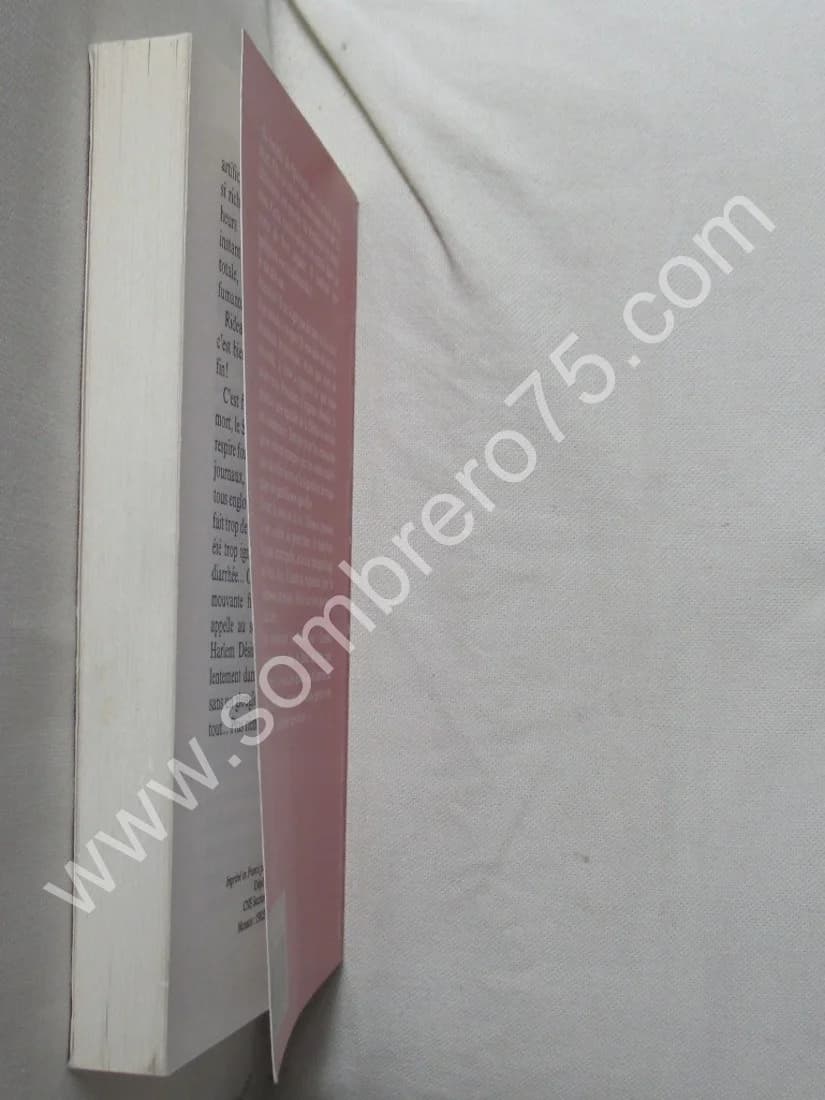 Rideau - Marc Edouard NABE - Image 4