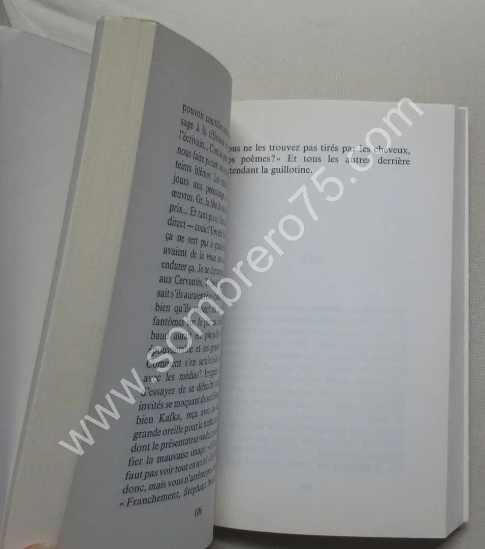 Rideau - Marc Edouard NABE - Image 5