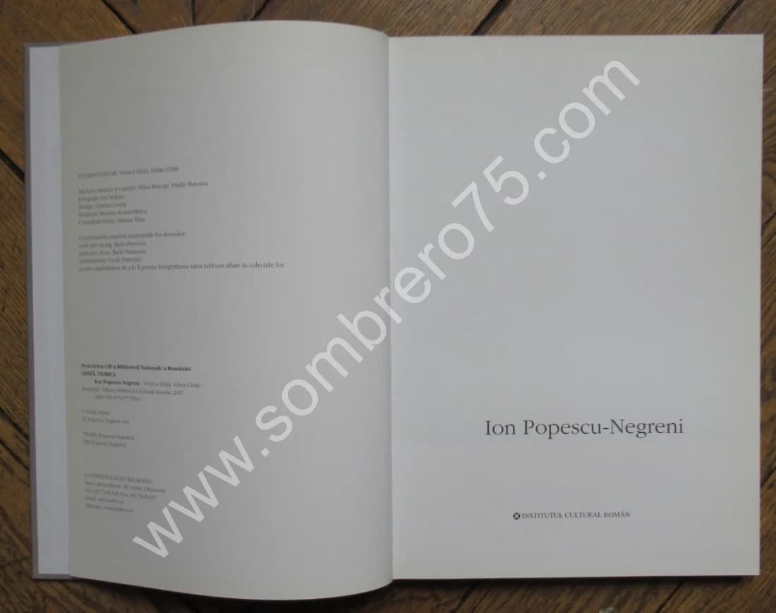 Ion POPESCU NEGRENI.. 2007 - Image 3