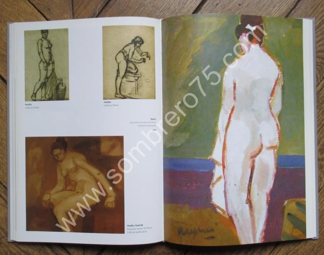 Ion POPESCU NEGRENI.. 2007 - Image 5