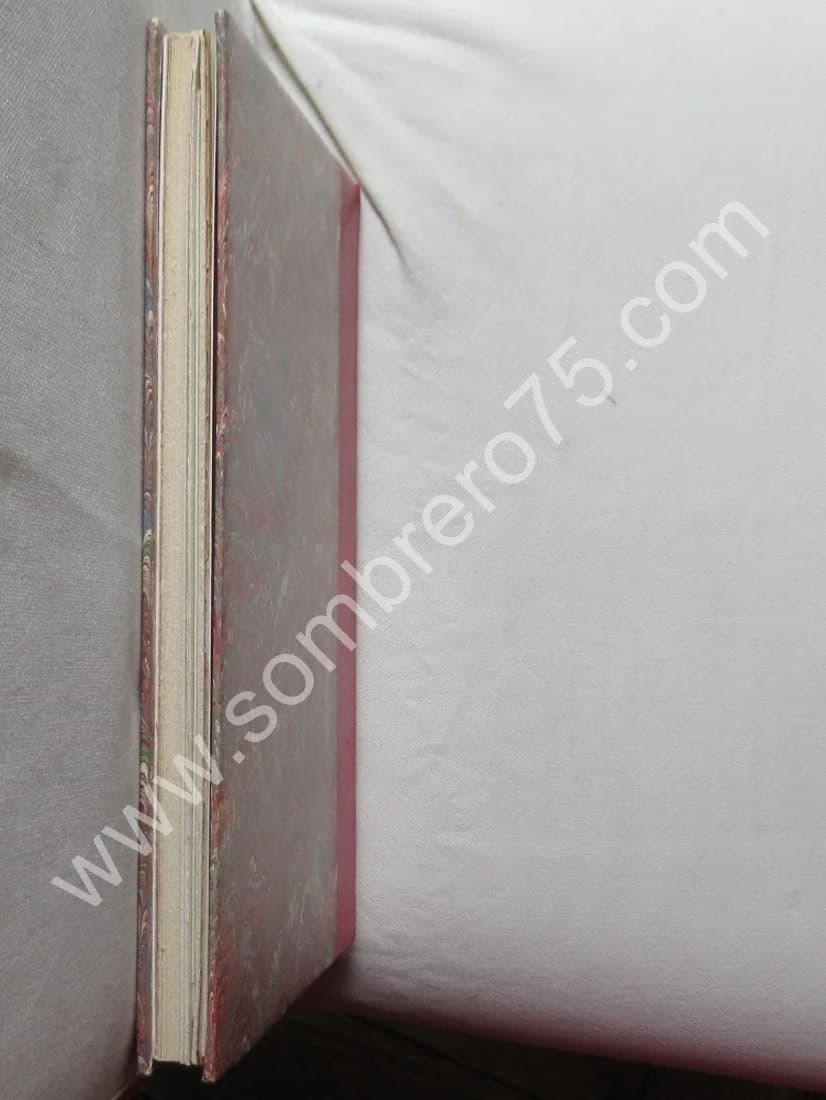 Généalogie de la Famille Lassailly 1575-1941 par l'Abbé J. LASSAILLY - Image 9