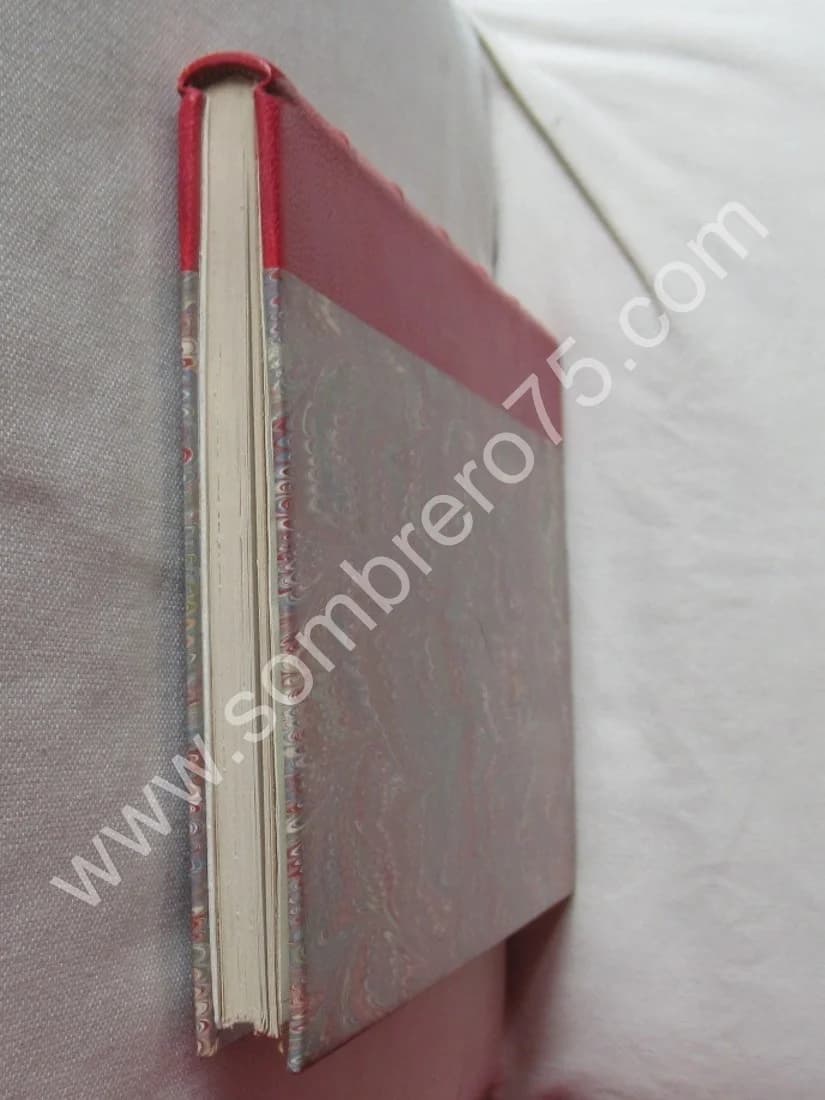 Généalogie de la Famille Lassailly 1575-1941 par l'Abbé J. LASSAILLY - Image 10