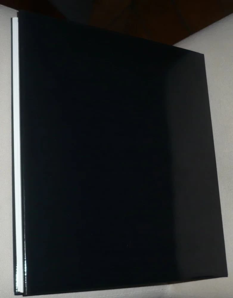 Theo Van Doesburg Peintre et Architecte. VAN STRAATEN - Image 3