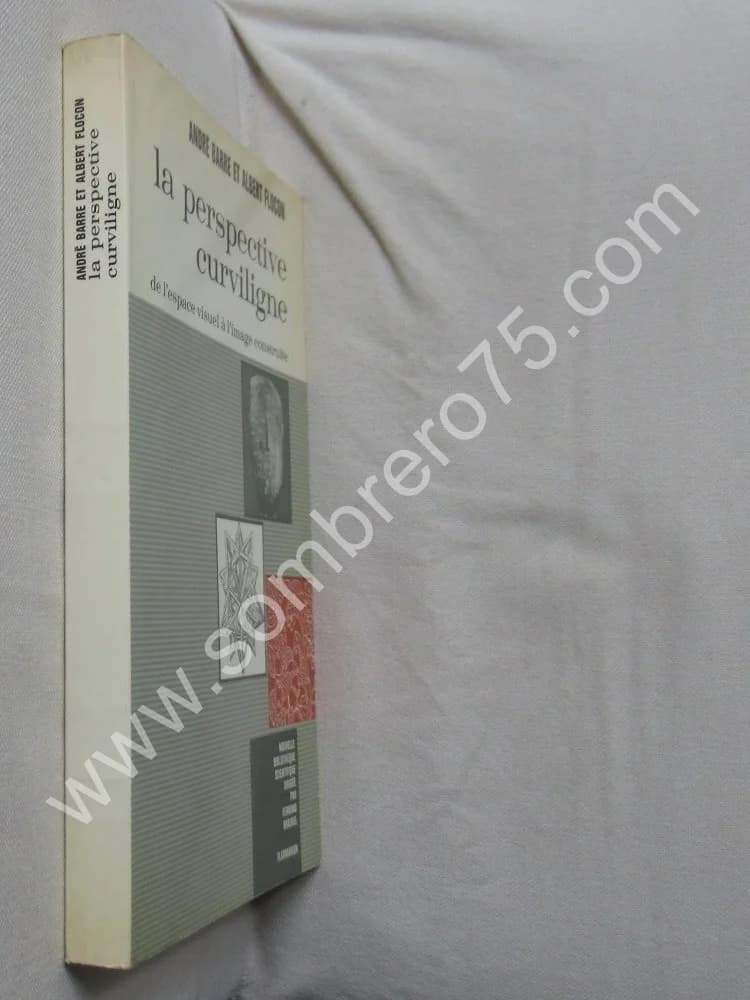La Perspective Curviligne de l'espace visuel à l'image construite. A. BARRE - Image 2