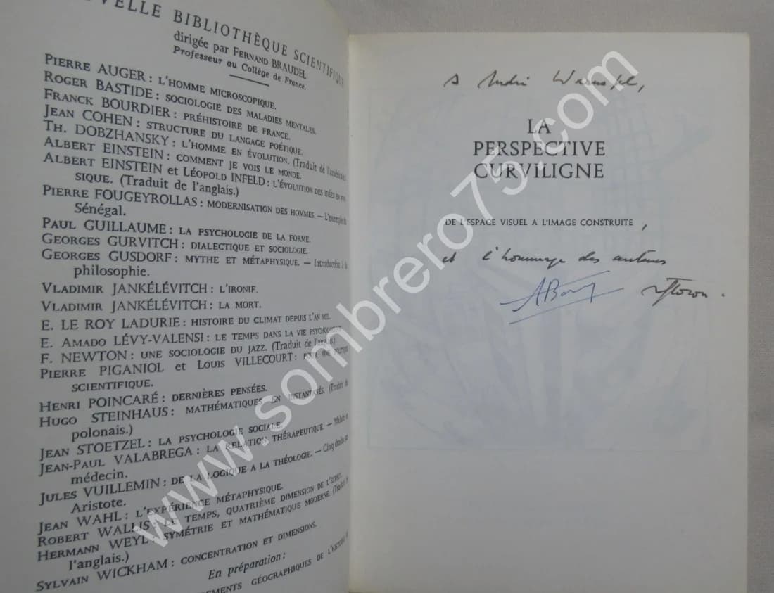 La Perspective Curviligne de l'espace visuel à l'image construite. A. BARRE - Image 3